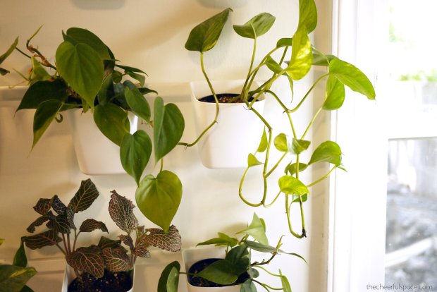 living-plant-wall-03