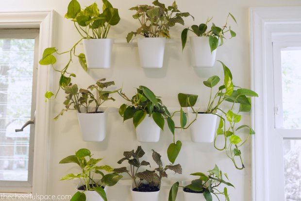 living-plant-wall-1-03