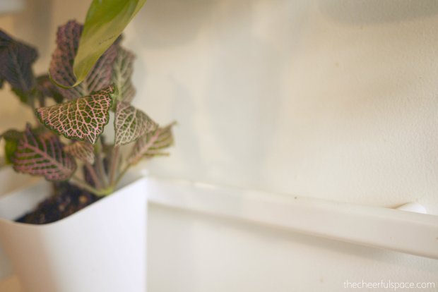 living-plant-wall-10