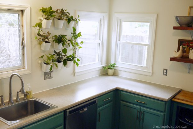 living-plant-wall-2-01